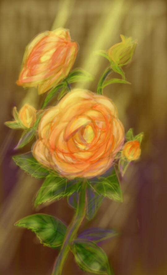 Rose