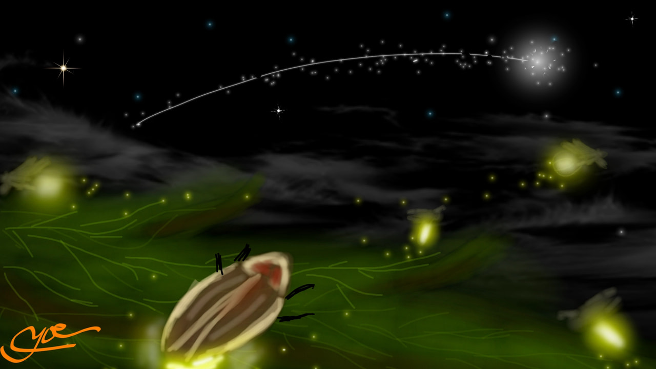 because the light always leaves a #trail in the dark #yoe #trail #sonysketch #sketch #inktober #Inktober2017 #Star #night #Fireflies ‪@sonysketch‬