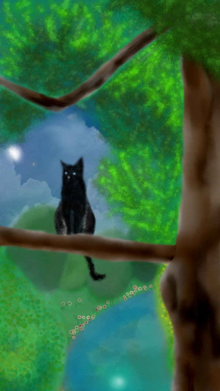 「月明かり」 #Moonlight #cat #naturechallenge #fridayswithsketch
