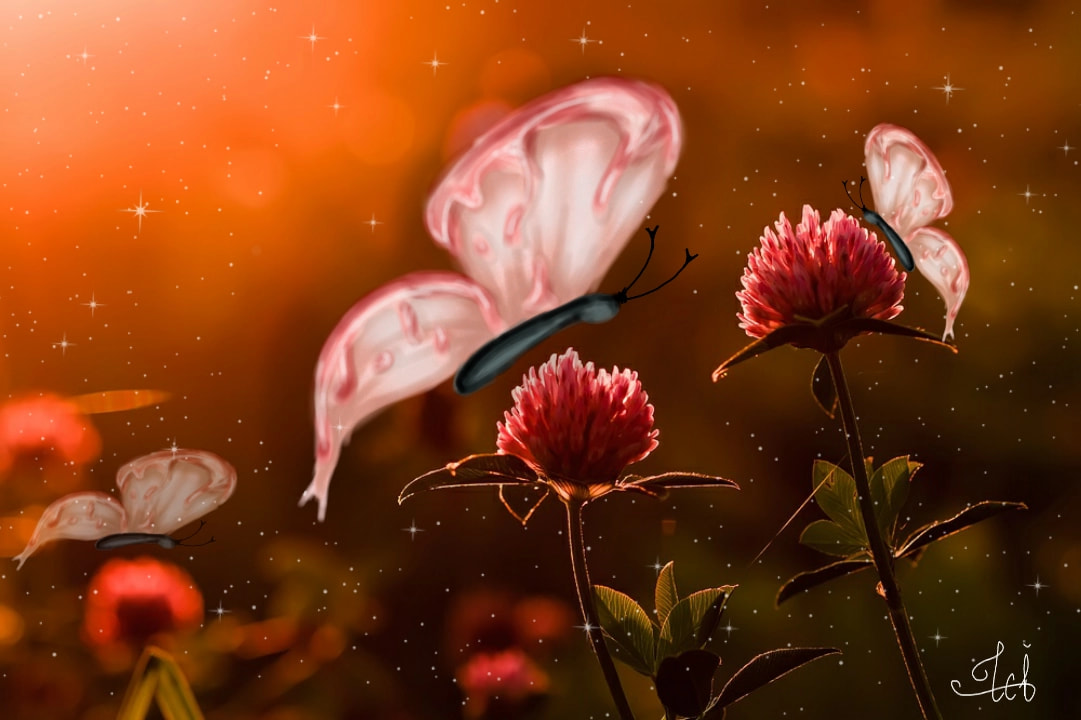 #fridayswithsketch #photochallenge