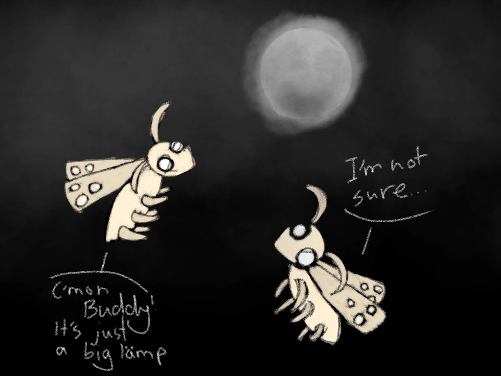 I really like how this turned out #magicmoonweek #minichallenge #moth #meme wow its my first time featured thanks!
