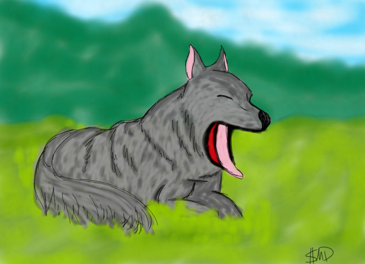 #fridayswithsketch #animalchallenge I'm expirementing w/ mixed media (pencil & paint brush) This is a timber wolf who's name's Smokey. Hope you like it.