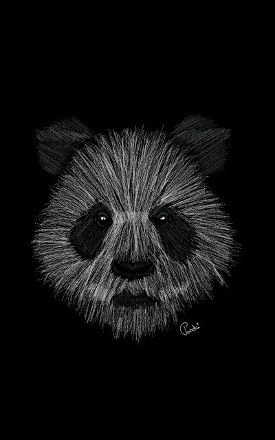 Drawing of a panda :D