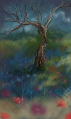 Orage en Provence 