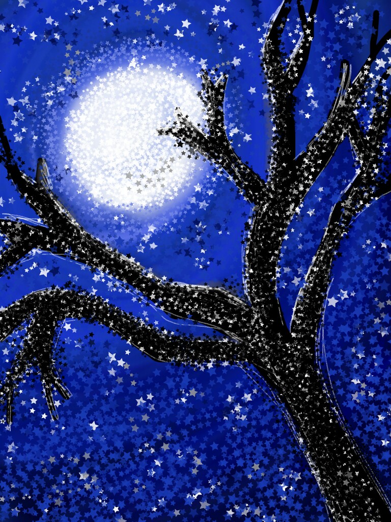 Oops! I'm too late! But anyway better late than never😁 #starpenchallenge #stars #sparkle  #night  #tree #moon.... at this rate I would keep tagging forever! I better stop..😂😂