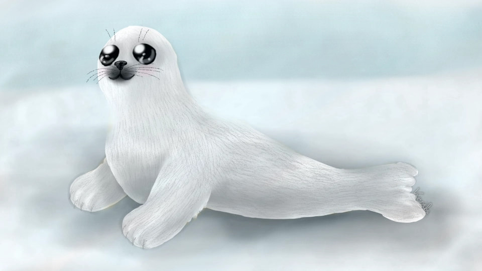 #seal #animalchallenge #Animal #fridayswithsketch  ‪@sonysketch‬ Szerintem Kawaii 😍