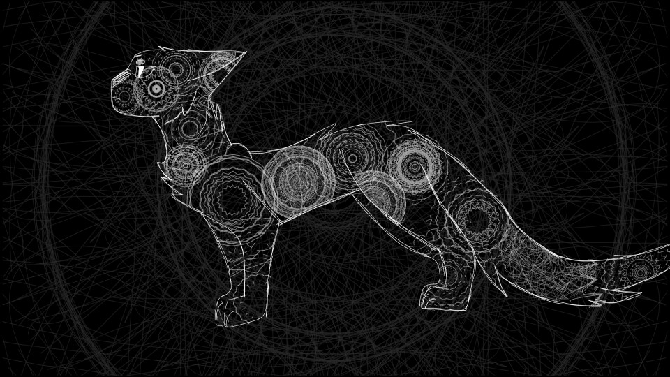 #symmetrytool #cat