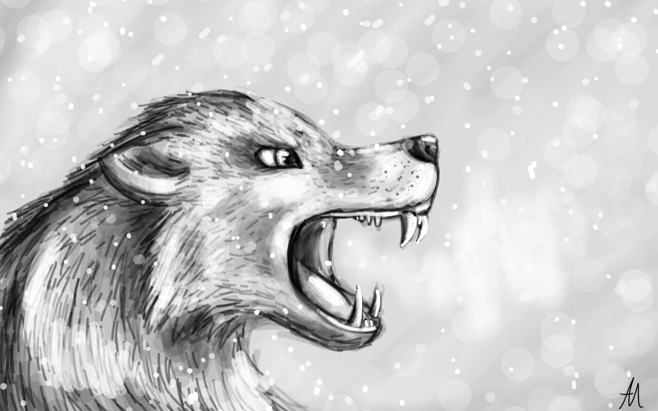 Drawing black&white :D(those spots in backgrounds are snowflakes I think)