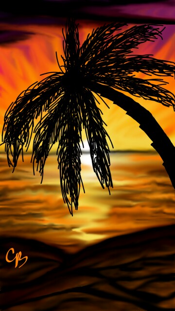 Paradise #beach#sunset#peaceful#ocean#waterscapes#landscapes#tranquility#palmtree#water
