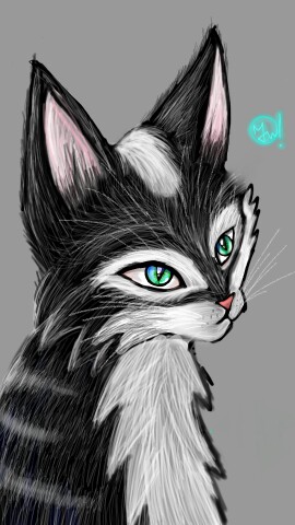 Finished 😸