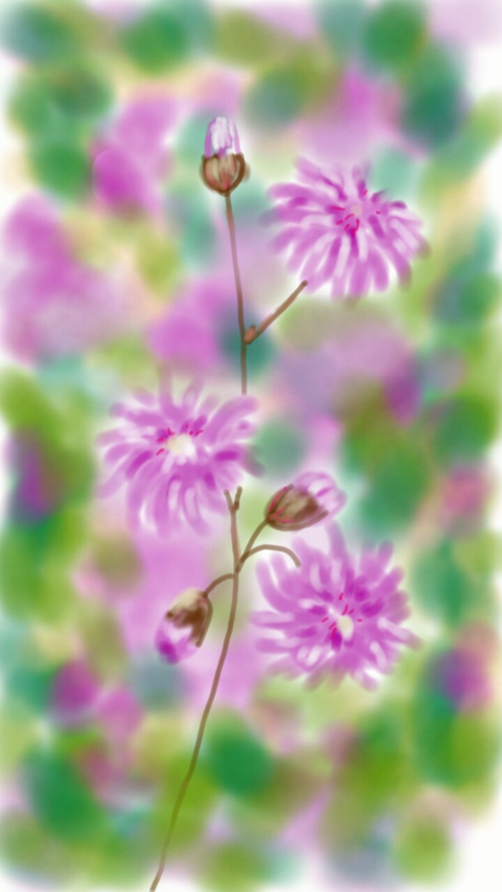 #pink #flowers #plants  #garden #art #lovely #beautiful #colourful #featured