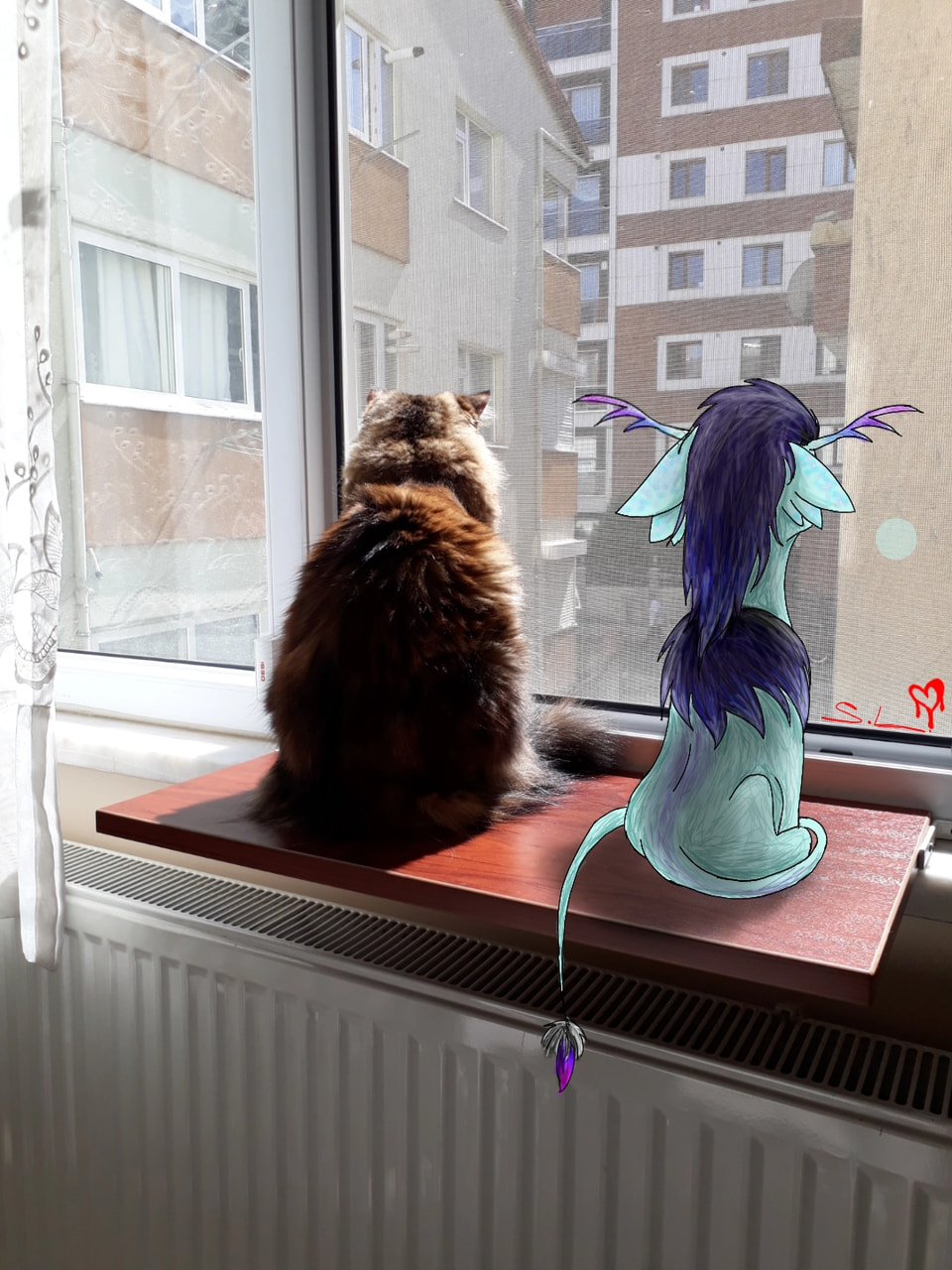 My oc puffy and my aunt's IDIOT cat pırtik looking at street😂 #photochallenge #fridayswithsketch #puffy #oc #petoc #fastsketch #cat #pırtik #auntscat #pofy my eleventh pic in featured