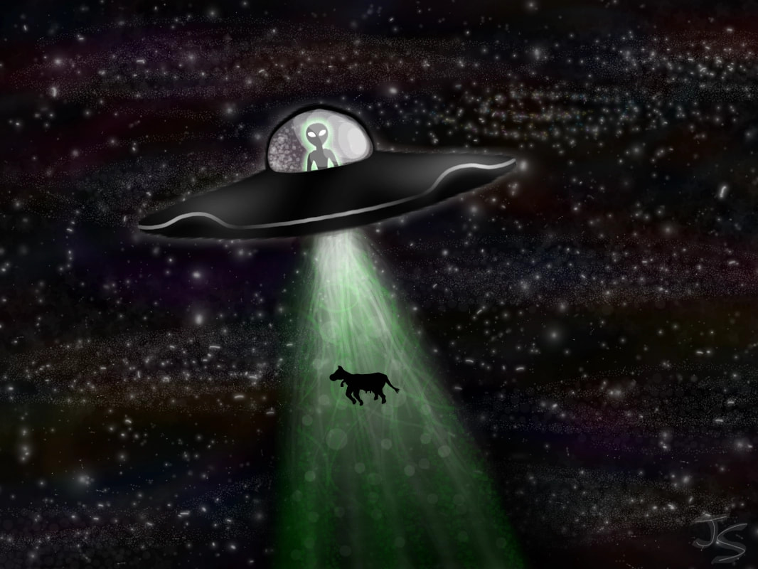 I hope y'all like it! I call it..... THE ABDUCTION!!! XD (Thank you so much for the feature!) #MyAlien #fridayswithsketch #green ‪@sonysketch‬