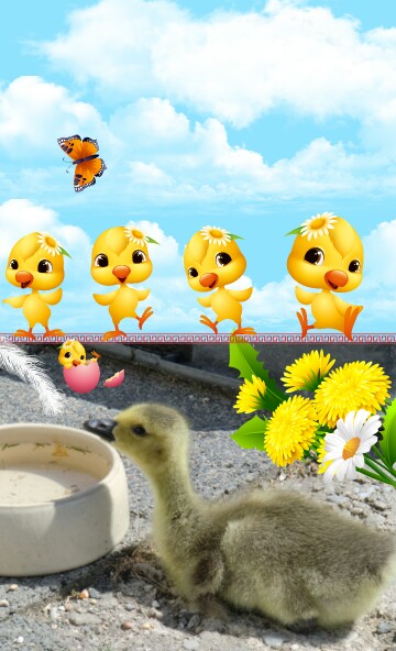 Tierleben 