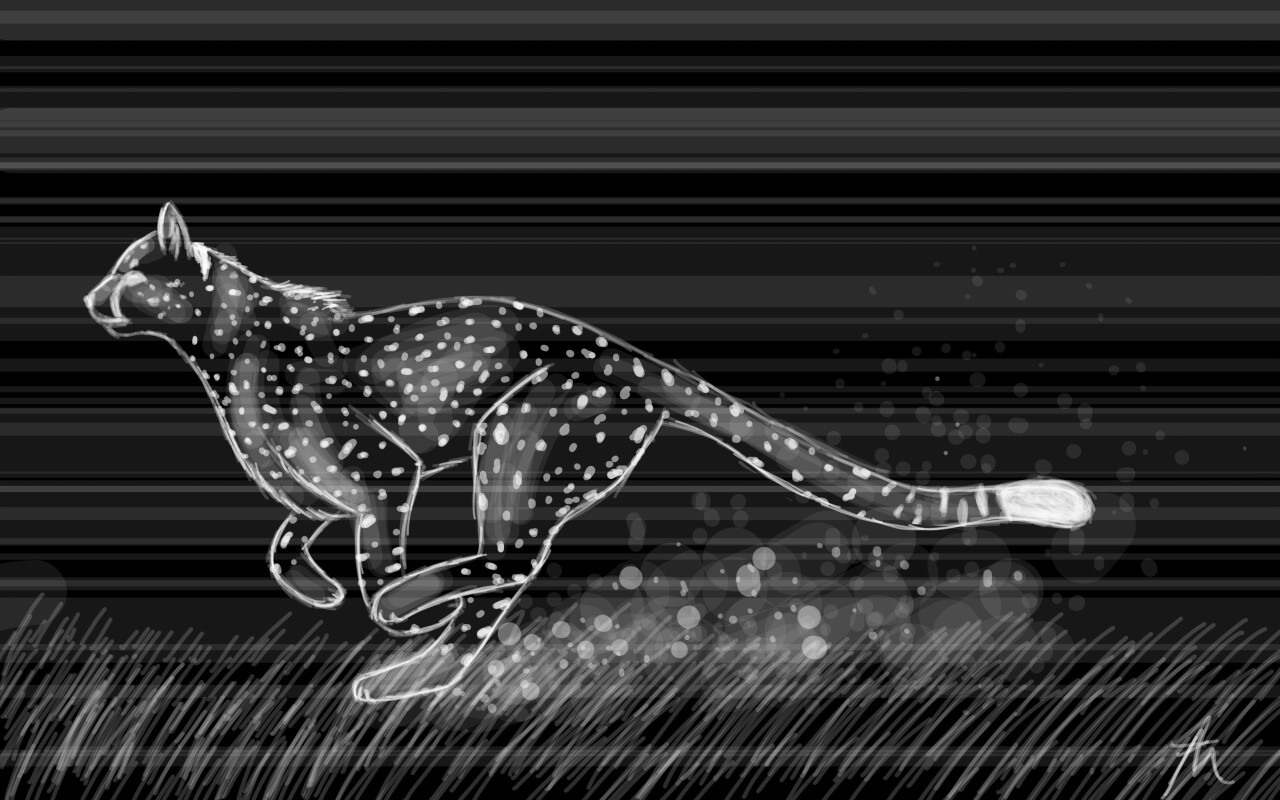 Day one of #inktober2016 #fast !!!! Cheetahs are fast right?!
