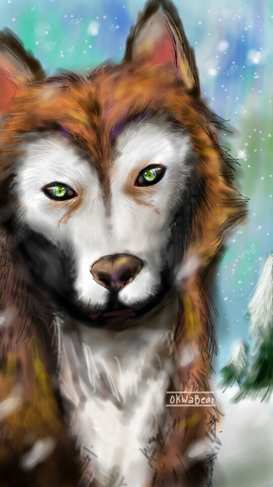 #sonysketch #sketch #fridayswithsketch #Siberianhusky #myfavanimal