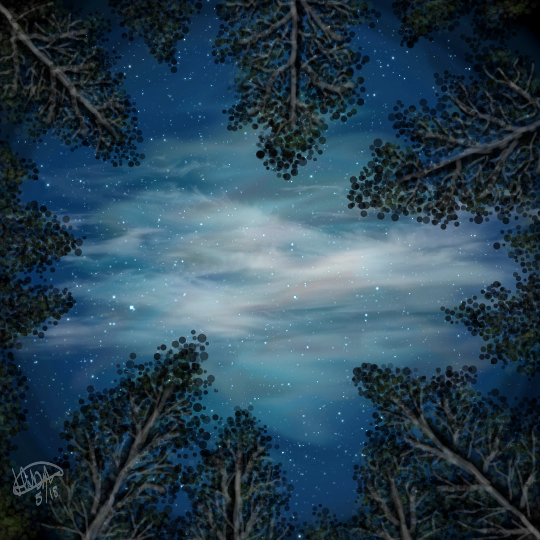 View of the nightsky in the forest 😍#naturechallenge #fridayswithsketch #sonysketch #night #forest #beautiful #foggy #nightsky #sky #nature #trees