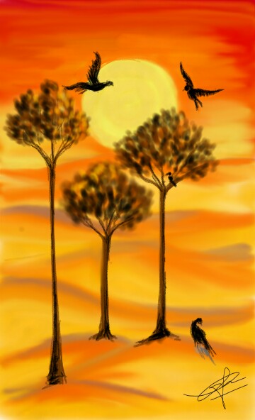 Atardecer en el África. 