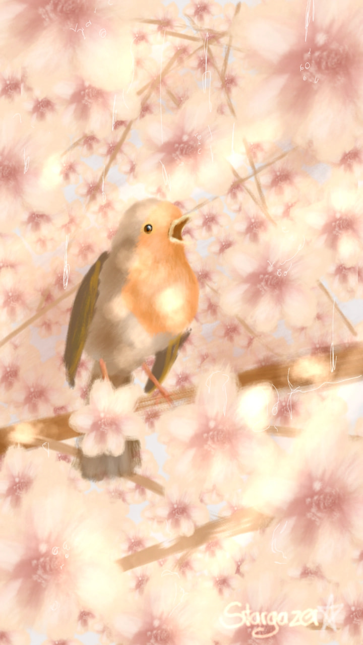 Nature Always has the best inspiration, no matter where you look, you will always find something beautiful🌸 #fridaysforfuture #bird #flowers #tree #fridaywithsketch #beautiful #inspiration #inspired #light