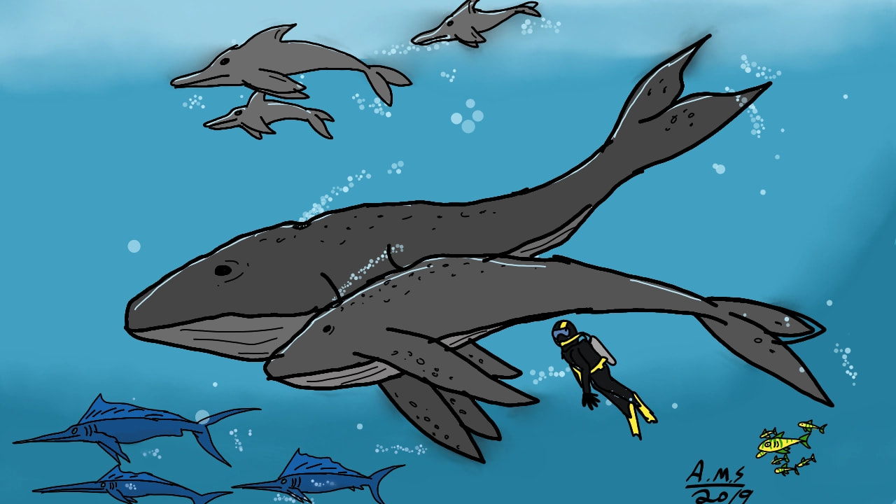 #fridaysforfuture #fridayswithsketch #sonysketch I love the great wonders of the sea,Humpback whales,Marlin, fish,dolphins and diver enjoying the sight
