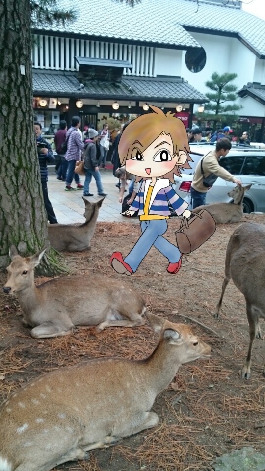奈良公園 (Nara park) #dailydecember/#mybestmemory I went to Nara park in November.