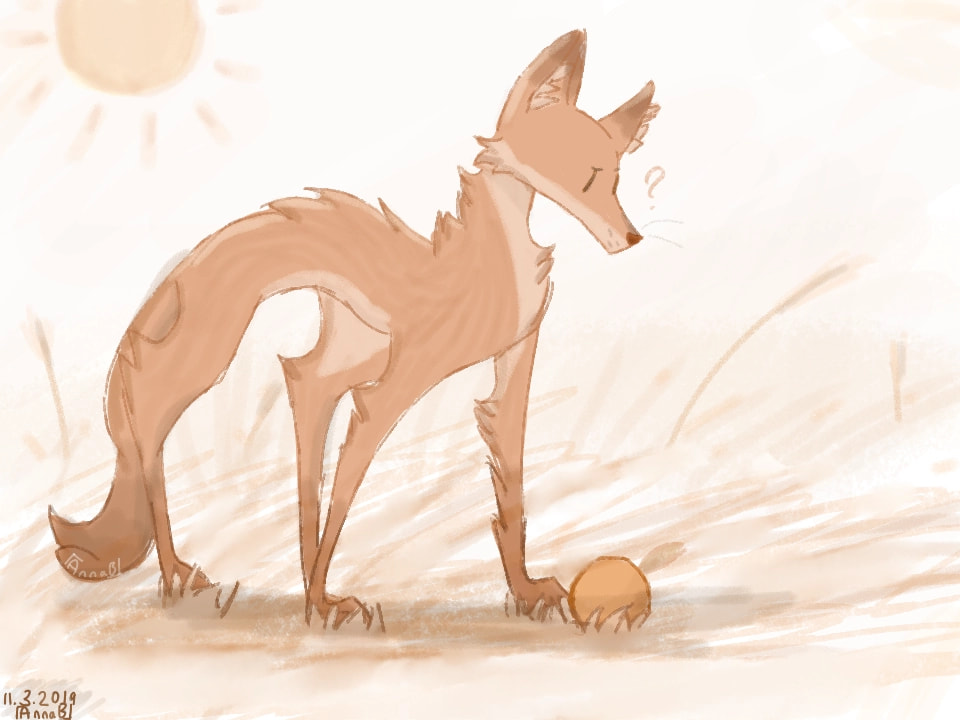I. Love. The. Colour. ORANGE. Without it, my life would've never been satisfied.... wait a minute- i'm still not satisfied! |#orange #onecolor #fridayswithsketch #fox ‪@sonysketch‬ tysm! This is my 4th time featured ❤
