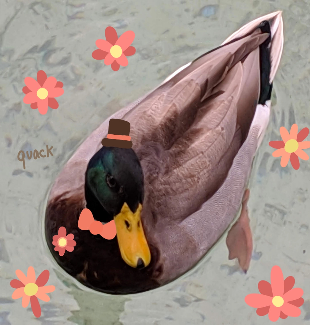 Hhh #fridayswithsketch #PhotoChallenge #duck