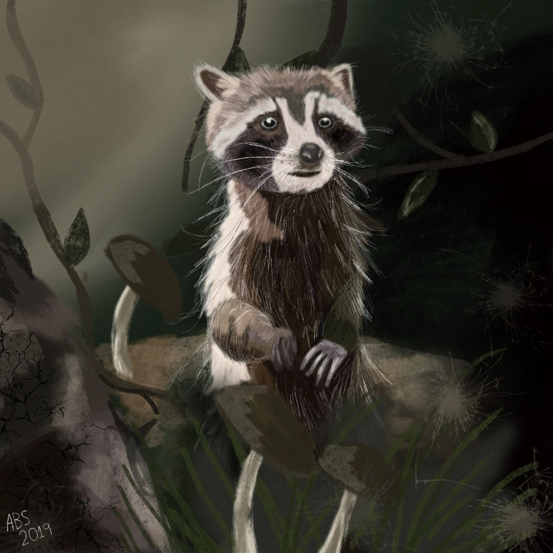 Thank you so so much for the feature! ♥️🐾 Of course I was a raccoon in my past life. My spirit animal is also a raccoon, and also my second Spirit animal :P #100PercentSketch #fridayswithsketch #pastlife #sonysketch #raccoon