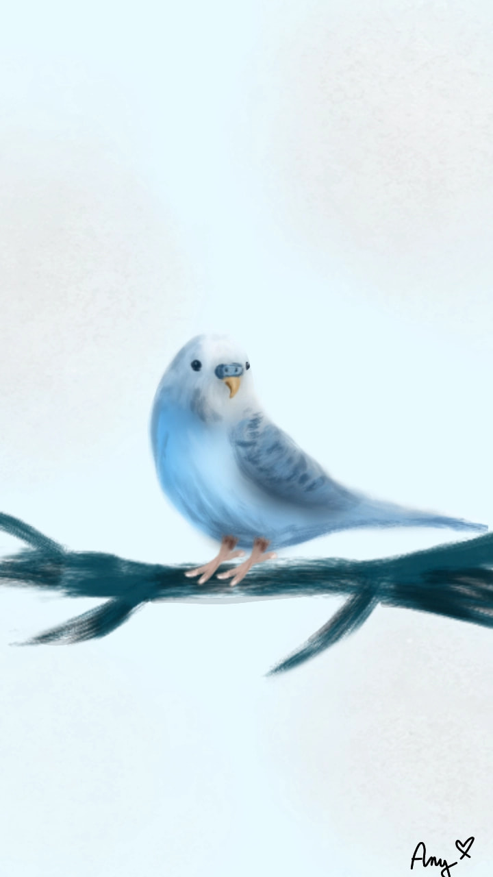 Blue budgie💙 Edit: OMG ❤ thank you So much for feature and 1800 likes!!! ♥#onecolor #100PercentSketch#1000Likes #fridayswithsketch ‪@sonysketch‬ #czech#AnyLlamaIsFeaturee 