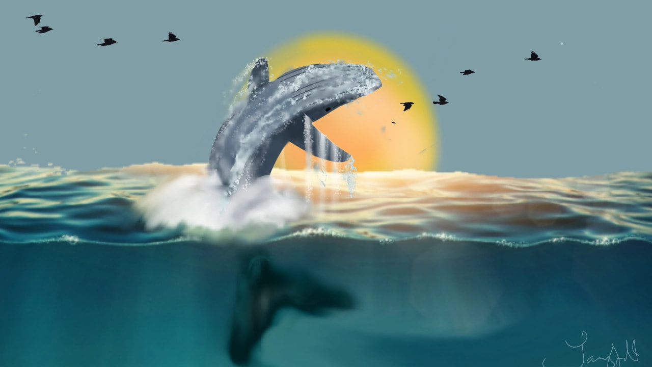 A quick one because I had no time but I loved today's word, "whale" and wanted to enter one... Hope you like it!? #inktober #Inktober2018 #whale #tammyfeatured #tammysfavorites