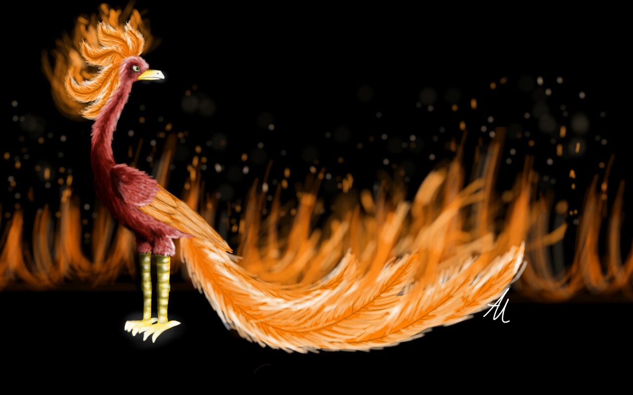 #inktober2016 #burn I tried to make a phoenix with its fearhers on fire, but I kinda failed:P Still like the pic tho