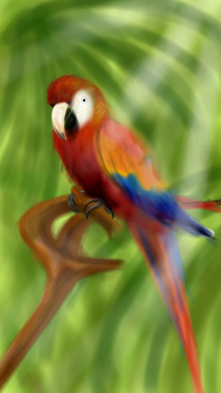 コンゴウインコ#fridayswithsketch #animalchallenge #bird