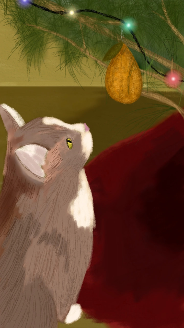 ‪@sonysketch‬ #myholiday #fridayswithsketch There's an ornament my cat loves to look at for some reason, I love it  :¬)