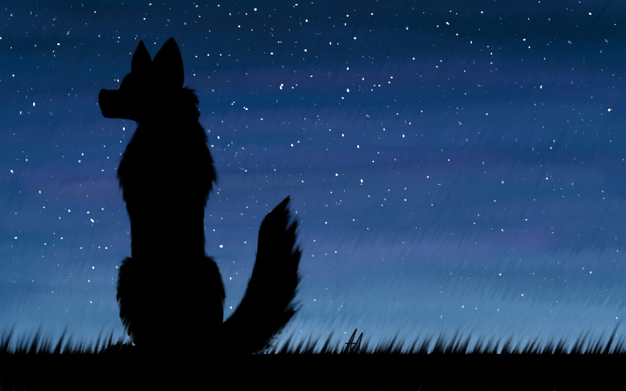 Randomly random picture c: