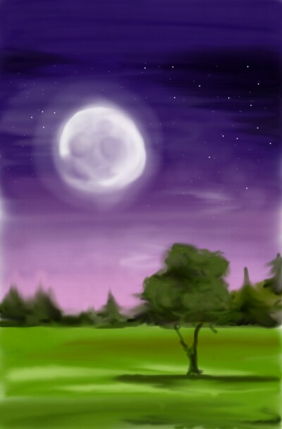 Night landscape