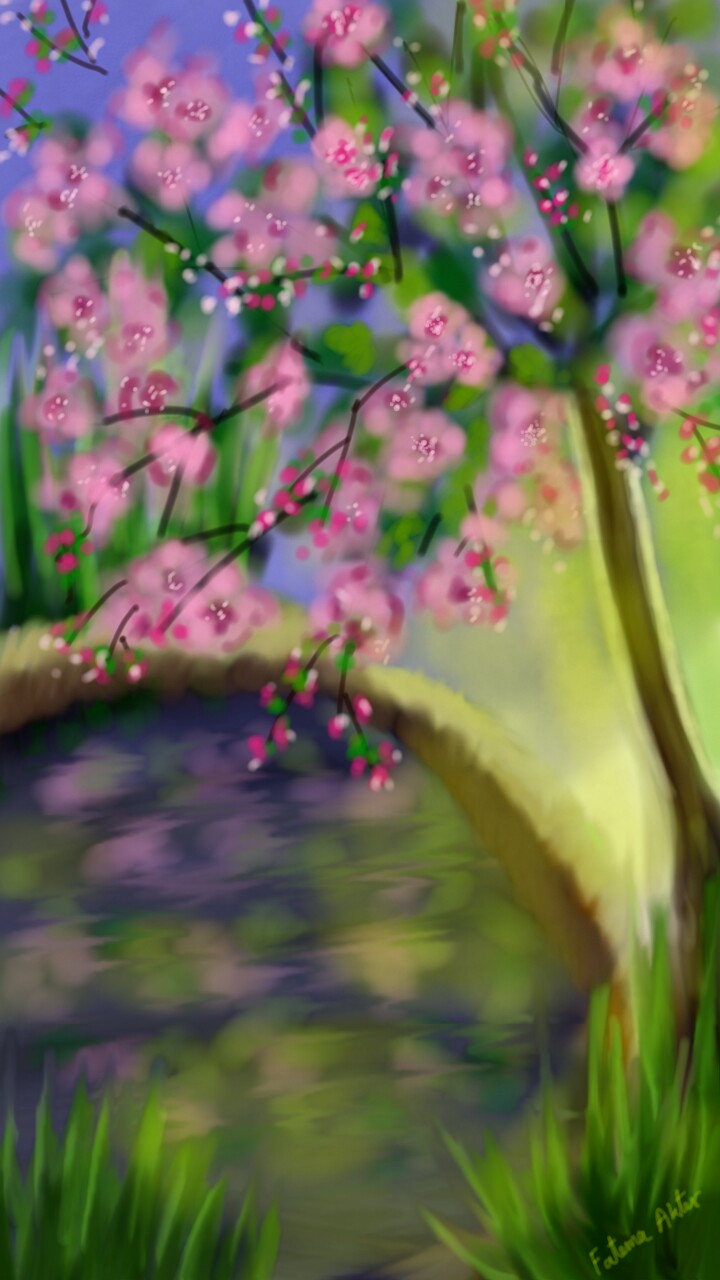 #sakura#flower#pond#water