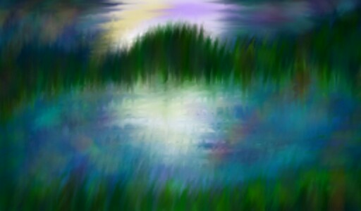 Moonlight  visions #landscape #moon #night
