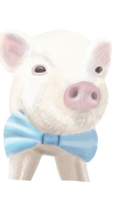 Just a little pig