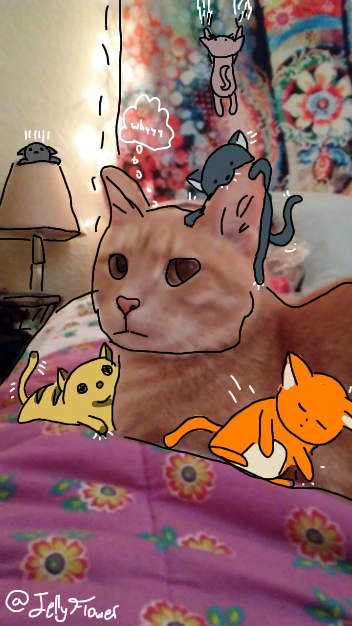 #fridayswithsketch #PhotoChallenge #cute This is my cat Theodore, he would make a great dad, lol #cat (thank you so much for featured, it's gotten me more likes than I could ever ask for and I've gained a lot of followers ^-^)