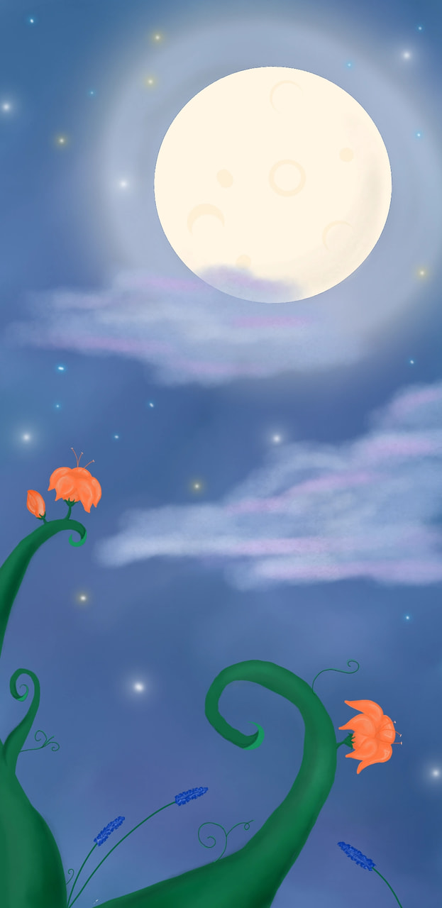 Magical full moon nights and nature ♡ #fridayswithsketch #fridaysforfuture #fullmoon #nature #night #simplepleasures