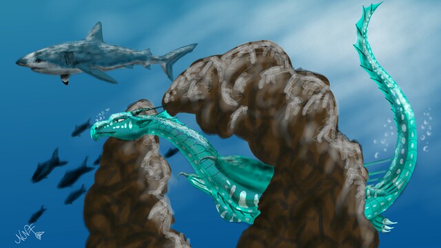 For ‪@°seawings°‬ #sea #dragon #shark