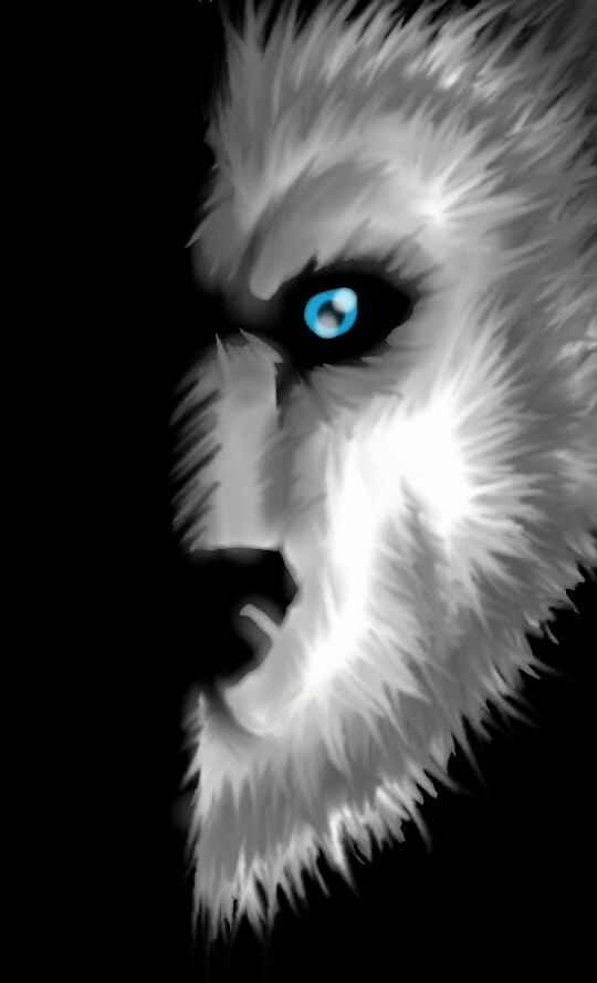 Wolf in shadow