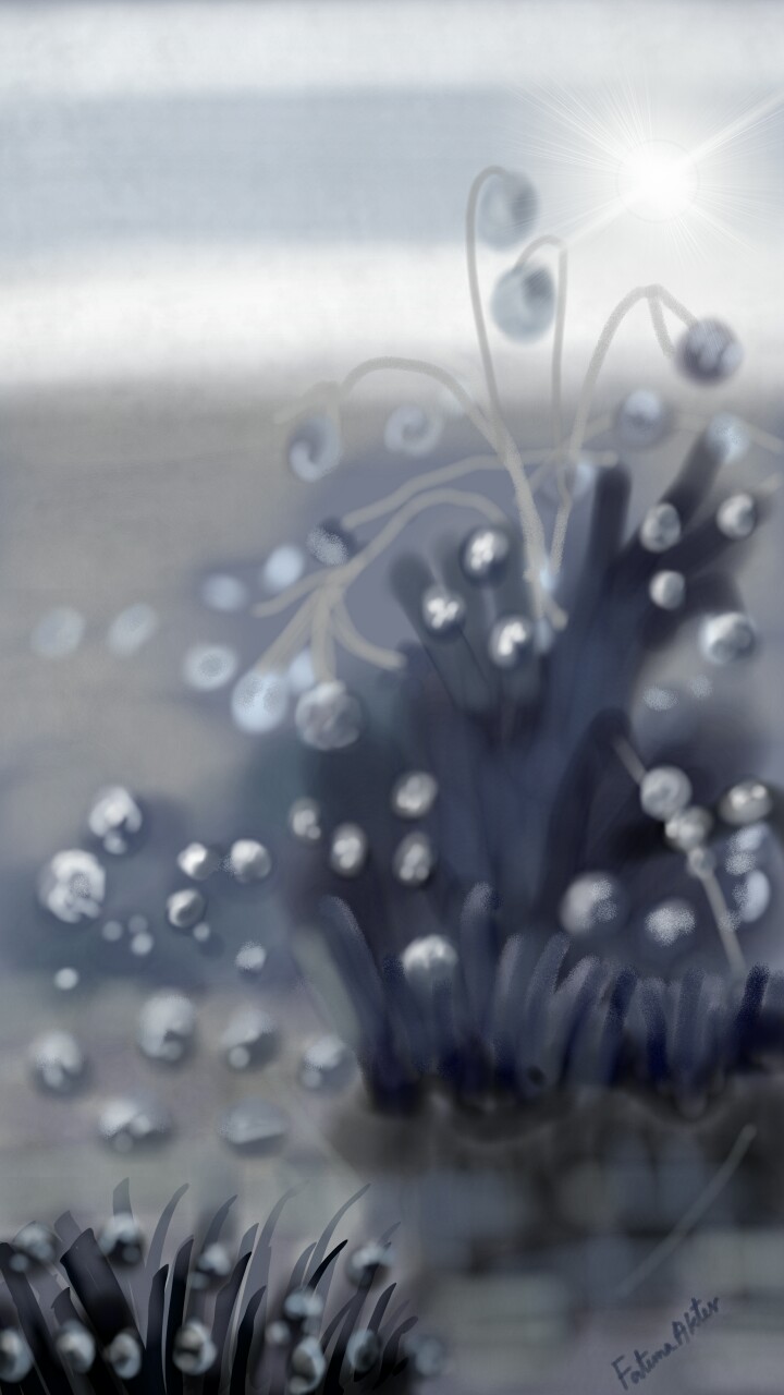 #dewdrop #on #grasses#mywintermemory#fridayswithsketch