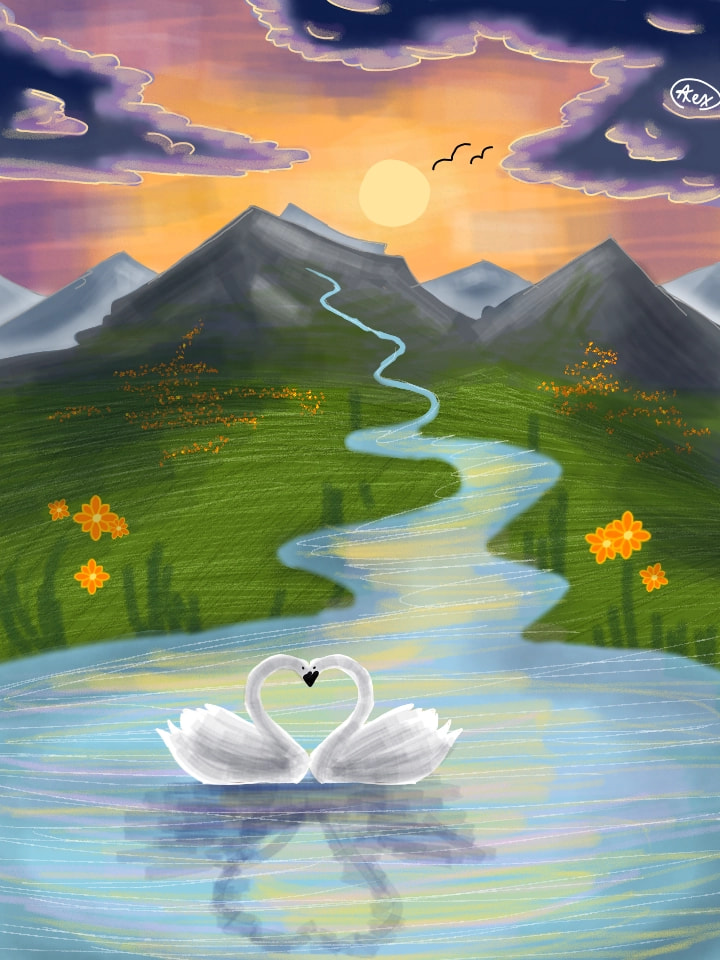 #naturechallenge #fridayswithsketch #swan #sunset #landscape