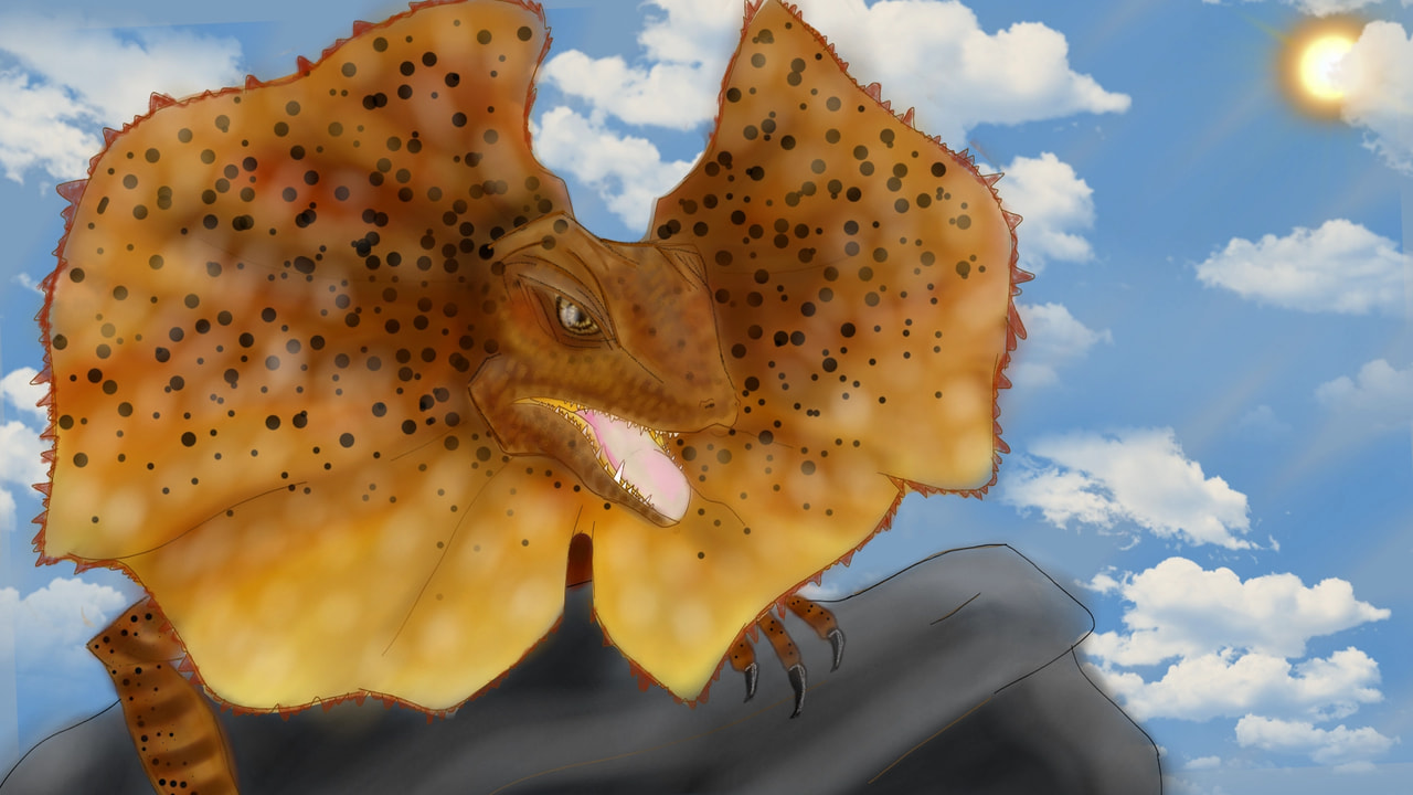 An Australian frilled neck lizard, I just love all the animals we have here in Australia X) #mycountry #fridayswithsketch #Australia #sketch #stickers