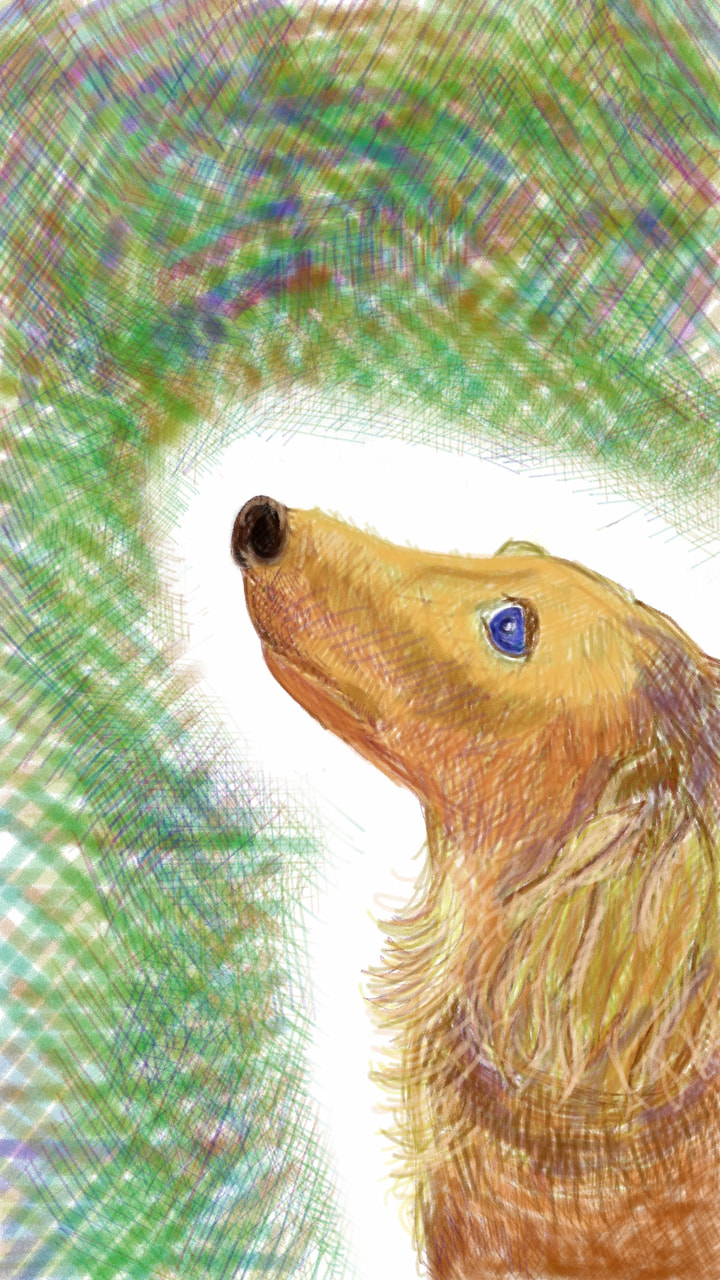 「ダックスフンド」#penciltoolchallenge #fridayswithsketch #sonysketch