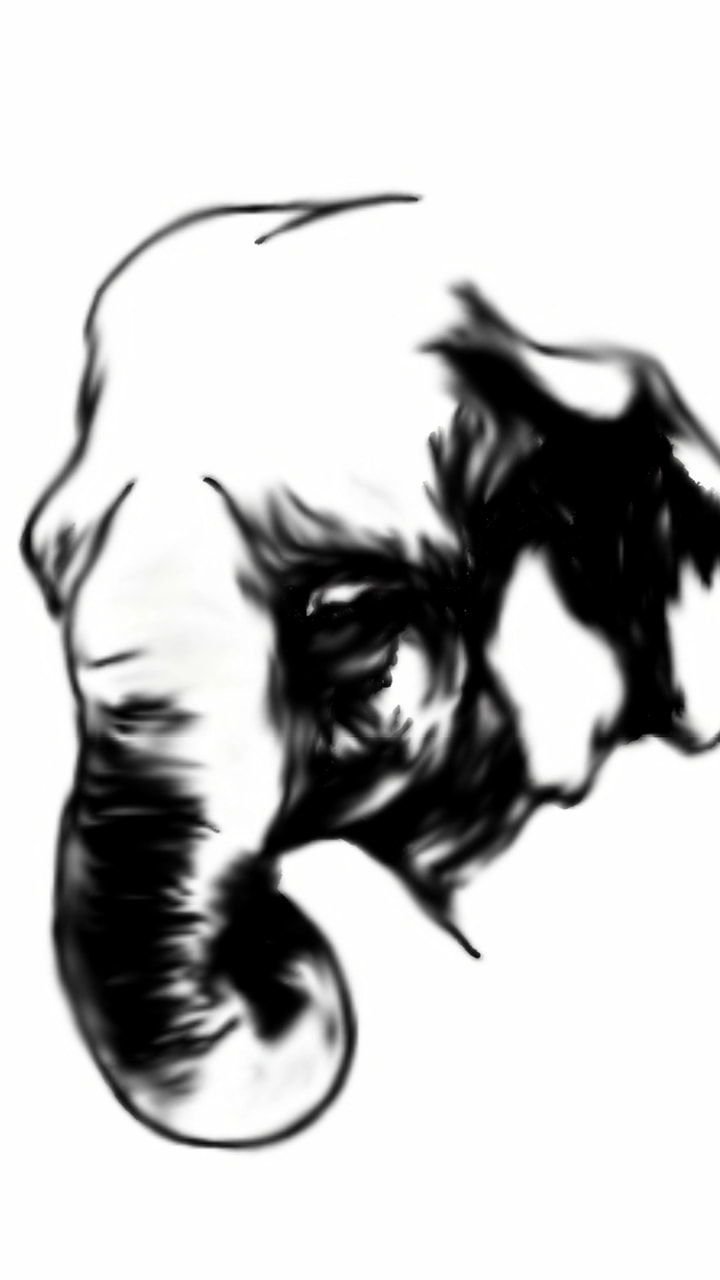 #blackandwhitechallenge #fridayswithsketch
