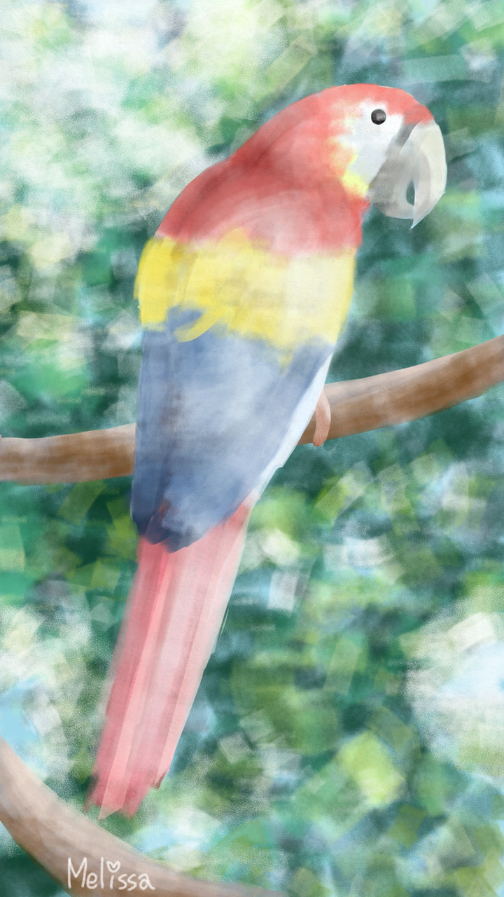 昨日、サファリパークに行ってきました🎵😄 #fridayswithsketch #rollertool #bird #鳥