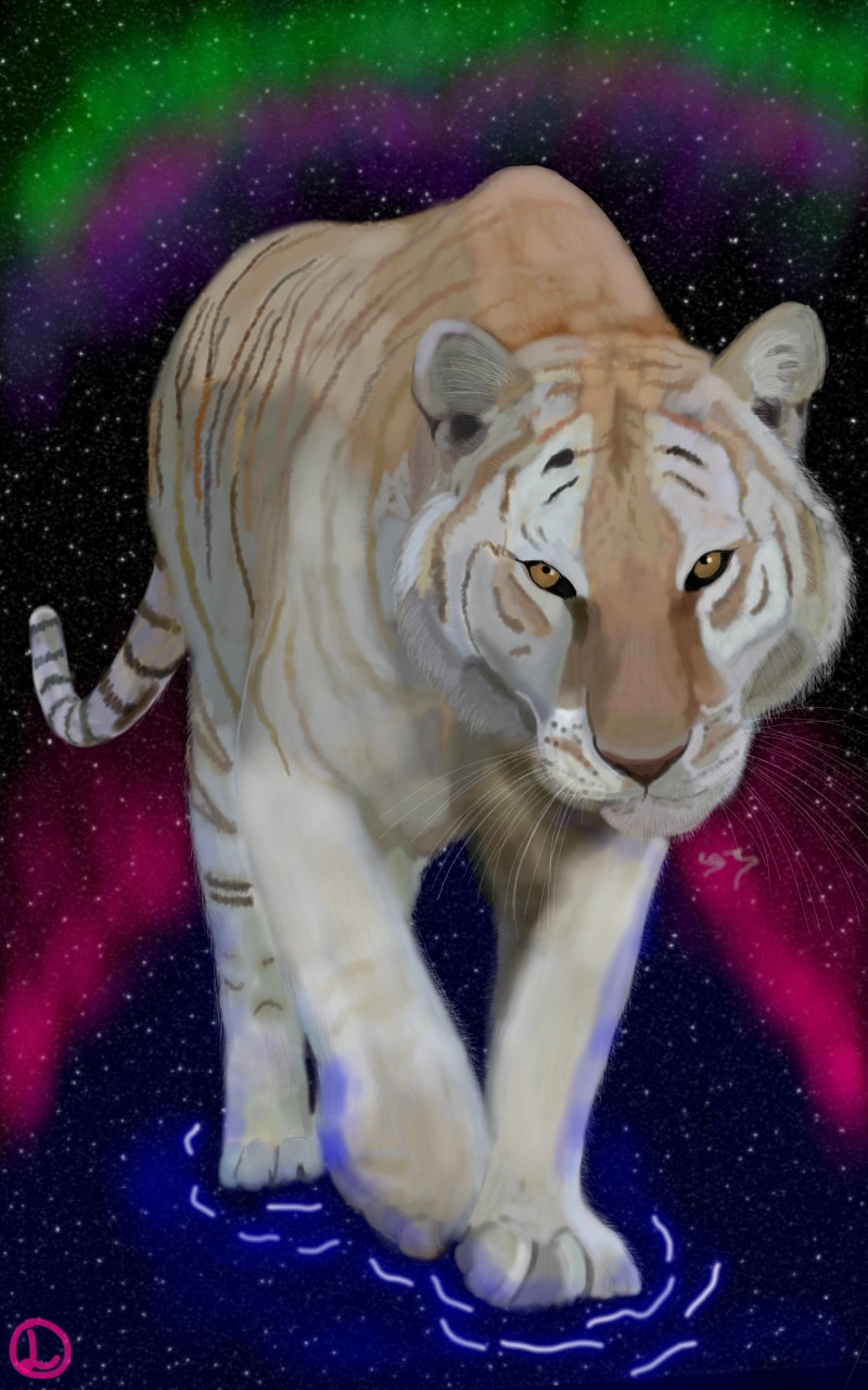 Tigers are my favorite animals,  they are so beautiful and majestic animals.  Northern light are also beautiful so why not combine both?  #fridayswithsketch  #animalchallenge #Tiger
