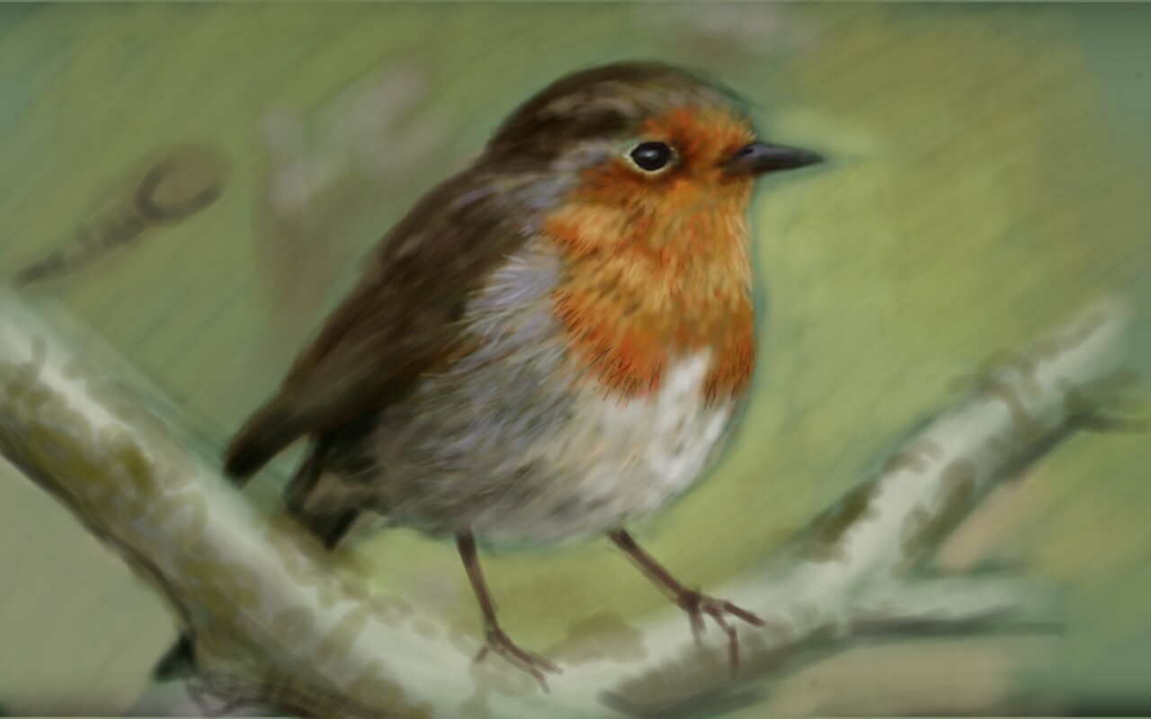 Robin (work in progress)  part 2